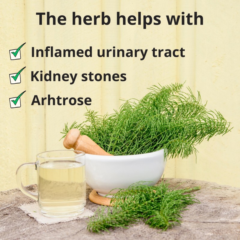 Horsetail stem - 70g