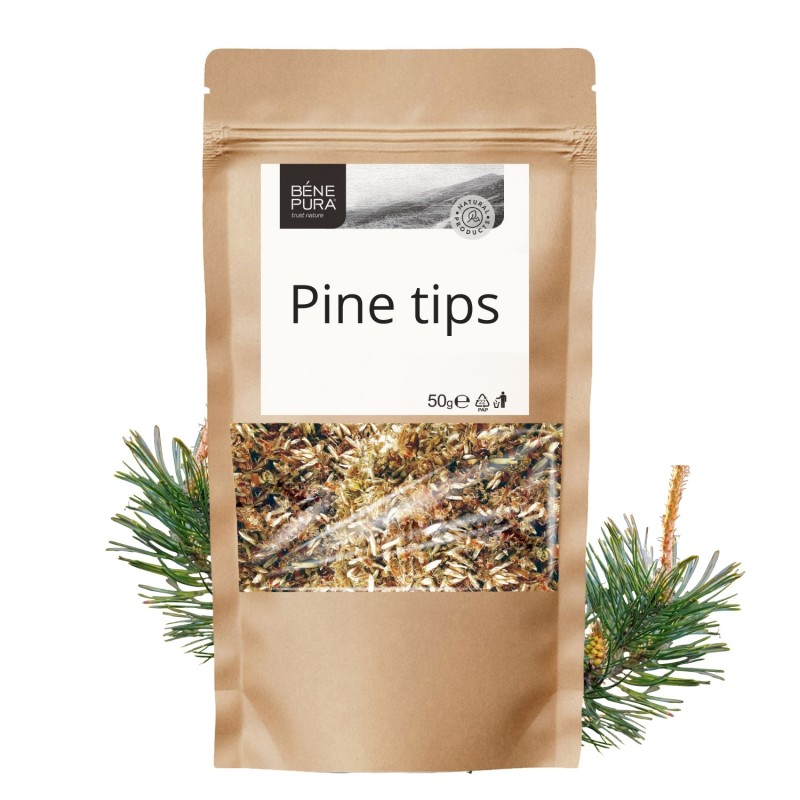 Pine tips - 50g - Herbs for cough