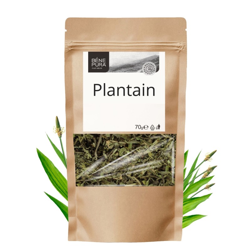 Plantain - 70g - Product Comparison