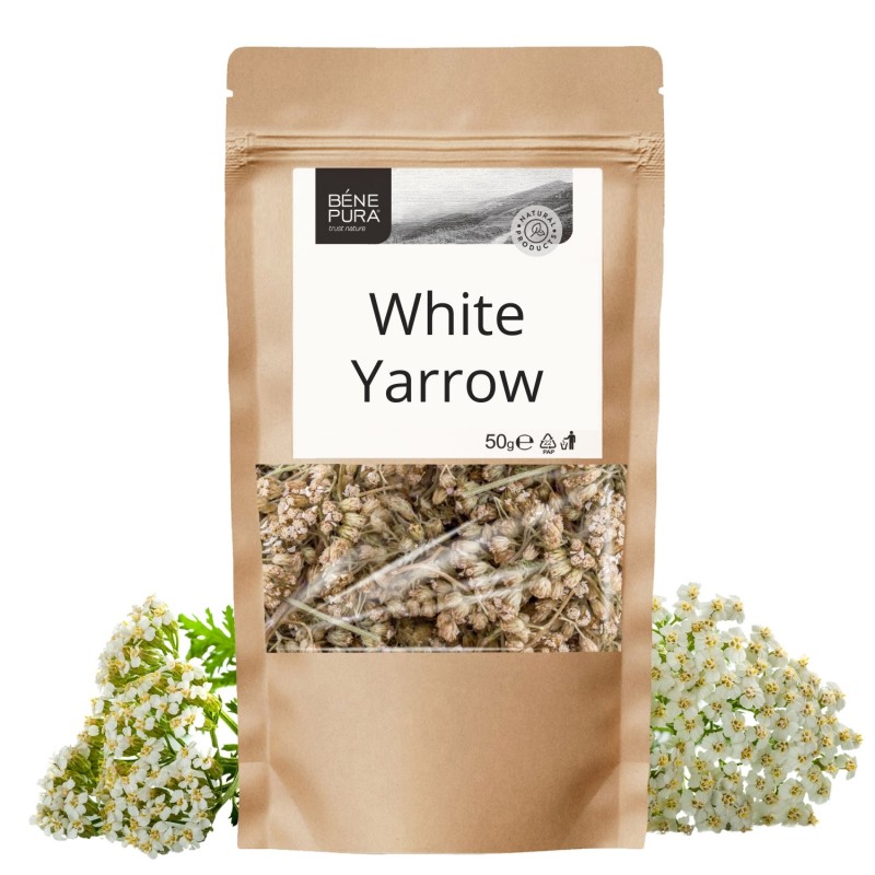 White Yarrow - 50g - Herbs for hemorrhoids