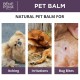 Ointments for Pets Set