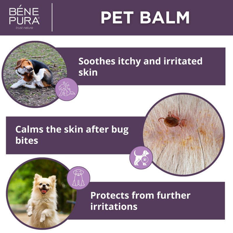 Ointments for Pets Set