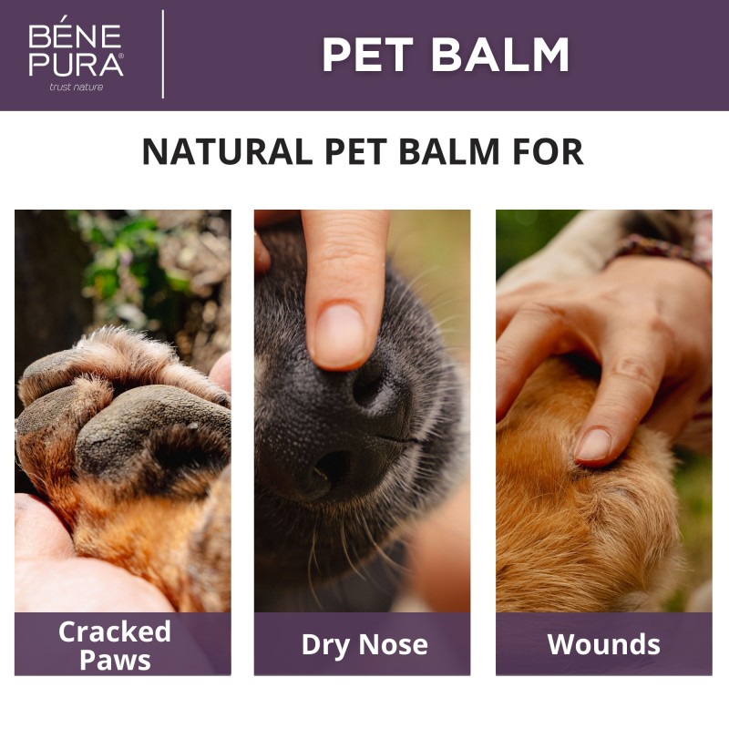 Ointments for Pets Set