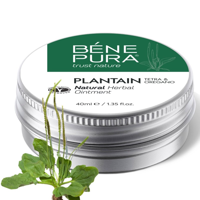 Ointment for Itching and Rashes with Plantain - 40ml - Ointments for cold sores