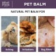 Anti irritation Pet balm with Plantain - 40ml