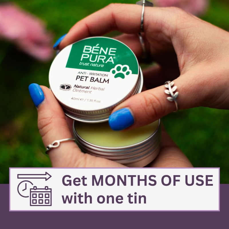 Anti irritation Pet balm with Plantain - 40ml