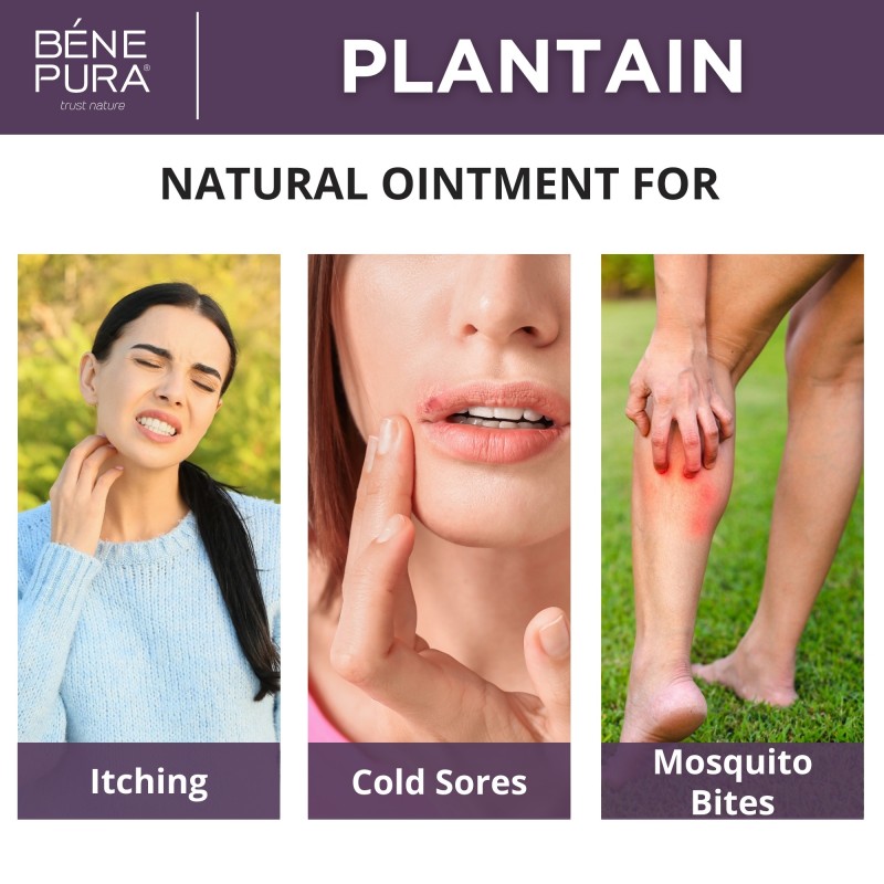 Ointment for Itching and Rashes with Plantain - 40ml