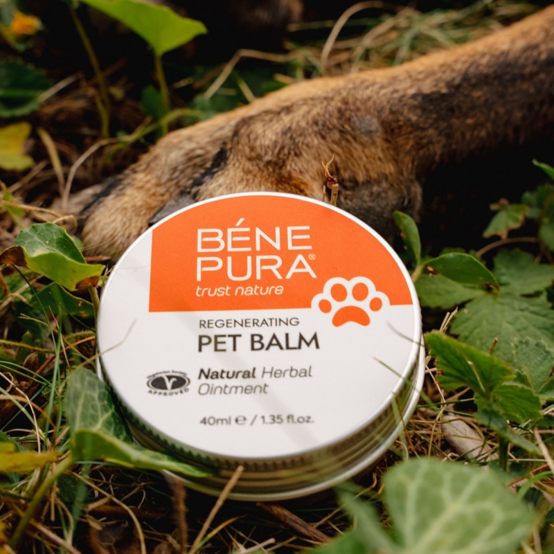 Regenerating Dog Paw balm with Calendula - 40ml