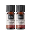 2x Bio Eucalyptus Citriodora Essential oil - 10ml