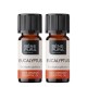 2x Bio Eucalyptus Globulus Essential oil - 10ml - Benepura.co.uk 2x Bio Eucalyptus Globulus Essential oil - 10ml