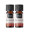 2x Bio Eucalyptus Radiata Essential oil - 10ml