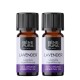 2x Bio Lavender Essential oil - 10ml - Benepura.co.uk 2x Bio Lavender Essential oil - 10ml