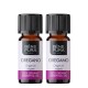 2x Bio Oregano Essential oil - 10ml - Benepura.co.uk 2x Bio Oregano Essential oil - 10ml