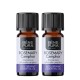 2x Bio Rosemary Camphor Essential oil - 5ml - Benepura.co.uk 2x Bio Rosemary Camphor Essential oil - 5ml
