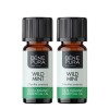 2x Bio Wild Mint Essential oil - 10ml