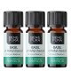 3x Bio Basil Essential oil - 5ml - Benepura.co.uk 3x Bio Basil Essential oil - 5ml