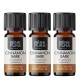 3x Bio Cinnamon Essential oil - 10ml - Benepura.co.uk 3x Bio Cinnamon Essential oil - 10ml