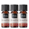 3x Bio Eucalyptus Radiata Essential oil - 10ml