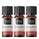 3x Bio Eucalyptus Radiata Essential oil - 5ml - Benepura.co.uk 3x Bio Eucalyptus Radiata Essential oil - 5ml