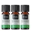 3x Bio Geranium Essential oil - 10ml
