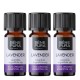 3x Bio Lavender Essential oil - 10ml - Benepura.co.uk 3x Bio Lavender Essential oil - 10ml
