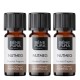 3x Bio Nutmeg Essential oil - 5ml - Benepura.co.uk 3x Bio Nutmeg Essential oil - 5ml