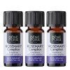 3x Bio Rosemary Camphor Essential oil - 10ml