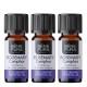 3x Bio Rosemary Camphor Essential oil - 5ml - Benepura.co.uk 3x Bio Rosemary Camphor Essential oil - 5ml