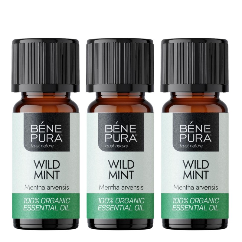3x Bio Wild Mint Essential oil - 10ml