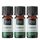 3x Bio Yarrow Essential oil - 10ml - Benepura.co.uk 3x Bio Yarrow Essential oil - 10ml