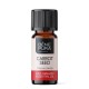 Bio Carrot Seed Essential oil - 10ml - Benepura.co.uk Bio Carrot Seed Essential oil - 10ml