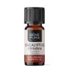 Bio Eucalyptus Citriodora Essential oil - 5ml