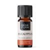 Bio Eucalyptus Globulus Essential oil - 10ml