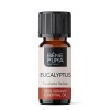 Bio Eucalyptus Radiata Essential oil - 5ml