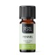 Bio Fennel Essential oil - 10ml - Benepura.co.uk Bio Fennel Essential oil - 10ml