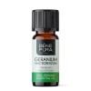Bio Geranium Essential oil - 10ml
