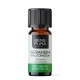 Bio Geranium Essential oil - 10ml - Benepura.co.uk Bio Geranium Essential oil - 10ml