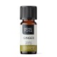 Bio Ginger Essential oil - 5ml