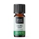 Bio Laurel Leaf Essential oil - 5ml - Benepura.co.uk Bio Laurel Leaf Essential oil - 5ml