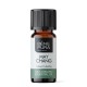 Bio Litsea Cubeba Essential oil - 10ml - Benepura.co.uk Bio Litsea Cubeba Essential oil - 10ml
