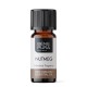 Bio Nutmeg Essential oil - 5ml - Benepura.co.uk Bio Nutmeg Essential oil - 5ml