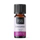 Bio Oregano Essential oil - 10ml - Benepura.co.uk Bio Oregano Essential oil - 10ml