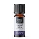 Bio Ravintsara Essential oil - 5ml - Benepura.co.uk Bio Ravintsara Essential oil - 5ml