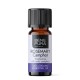 Bio Rosemary Camphor Essential oil - 5ml - Benepura.co.uk Bio Rosemary Camphor Essential oil - 5ml