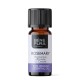 Bio Rosemary Cineole Essential oil - 10ml