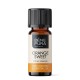 Bio Sweet Orange Essential oil - 10ml - Benepura.co.uk Bio Sweet Orange Essential oil - 10ml