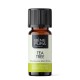 Bio Tea Tree Essential oil - 10ml - Benepura.co.uk Bio Tea Tree Essential oil - 10ml