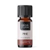Bio White Pine Essential oil - 10ml