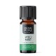 Bio Wild Mint Essential oil - 5ml - Benepura.co.uk Bio Wild Mint Essential oil - 5ml