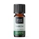Bio Yarrow Essential oil - 10ml - Benepura.co.uk Bio Yarrow Essential oil - 10ml